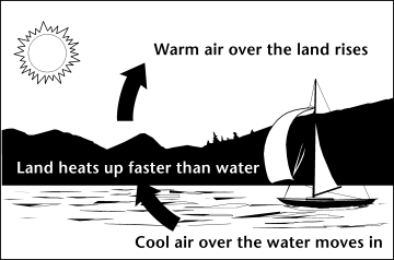 Image of how uneven heating of water and land causes wind. Land heats up faster than water.Warm air over the land rises.Cool air over the water moves in.