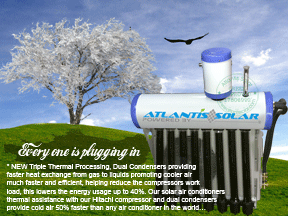 Green grass ice tree PDF flyer